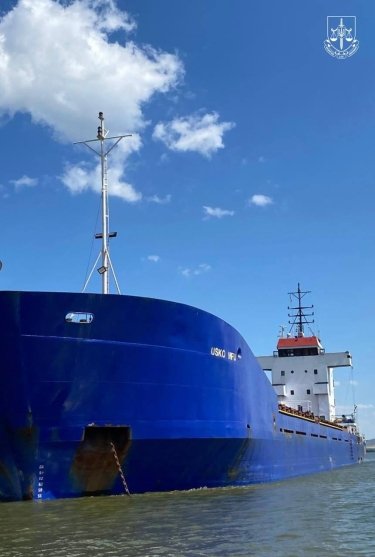 Фото 5 — В Украине арестовали иностранное судно, незаконно вывозившее зерно через оккупированный Крым (ФОТО)