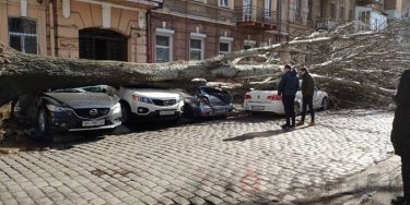 Фото 3 — Ураганный ветер накрыл Южную Украину: есть жертвы (ФОТО, ВИДЕО)
