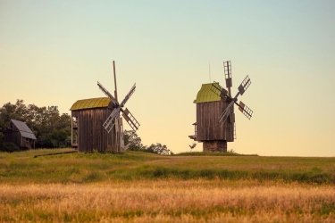 Фото 3 — Суд "легалізував рейдерське захоплення" території та приміщень музею в Пирогові, - МКІП