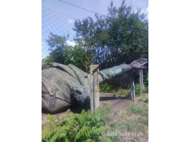 Фото 2 — Самую большую в Украине бронзовую скульптуру Ленина выставили на аукцион за 10 млн грн (ФОТО)