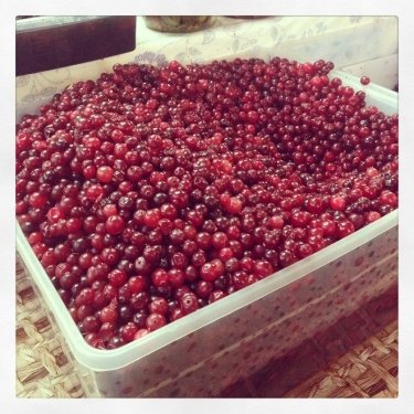 Фото 3 — Война — войной, обед — по расписанию!