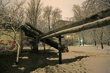 Фото 5 — На юге Украины из-за снега закрыли дороги, фуры не пускают даже в Киев (ФОТО, ВИДЕО)