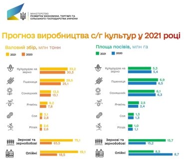 Фото 2 — Минэкономики прогнозирует рост урожая зерновых в 2021 году на 15%