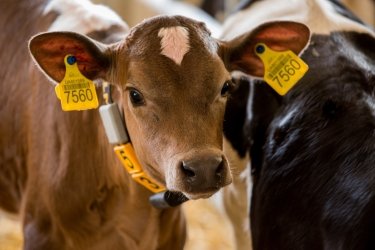 Фото 5 — Налоговая дисциплина как конкурентное преимущество – кейс «Астарта-Киев»