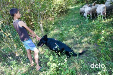 Фото 21 — Благодатная ферма: драйвит быть инноватором в выращивании органических ягод