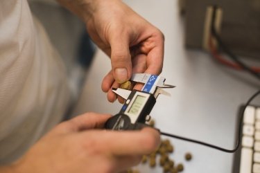 Фото 6 — Королевский крокет: как производят корм для домашних животных