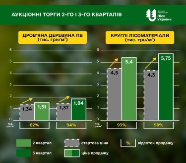 Фото 2 — Ціни на дрова для промисловості зросли на 20%: що відбувається на ринку деревини