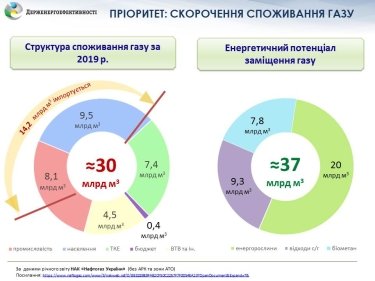 Фото 4 — Госэнергоэффективности предлагает вместо газа использовать растительное топливо