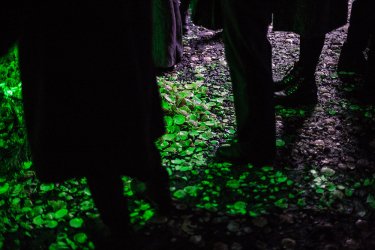 Фото 4 — В PinchukArtCentrе художники прогнозируют будущее с помощью высоких технологий (фото)