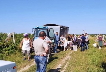 Фото 3 — Гоструда ищет неоформленных работников: к кому придут и что делать бизнесу при проверках