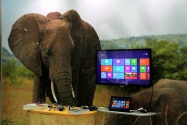 Фото 25 — Где рождается наука. Экскурсия по исследовательской лаборатории Microsoft