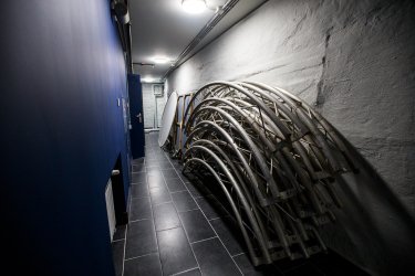 Фото 37 — Как Порошенко Театр на Подоле открывал и что увидят зрители внутри (фото)