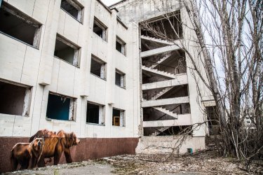 Фото 25 — Припять, Рыжий лес, Дуга-1: какие объекты Чернобыльской зоны готовят для ЮНЕСКО — фото