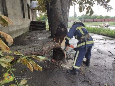 Фото 7 — Снес крыши, деревья и водонапорную башню: по Донецкой и Луганской областям прошел ураган