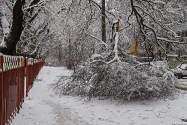 Фото 66 — На юге Украины из-за снега закрыли дороги, фуры не пускают даже в Киев (ФОТО, ВИДЕО)