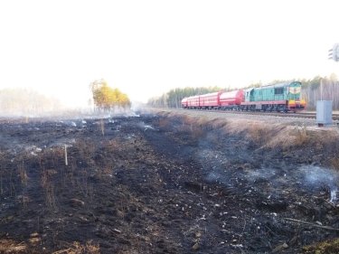 Фото 2 — В Житомирской области горел лес (ФОТО, ВИДЕО)