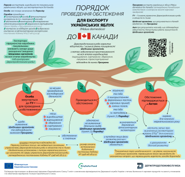Фото 3 — Українські яблука для Канади: затверджено програми експорту