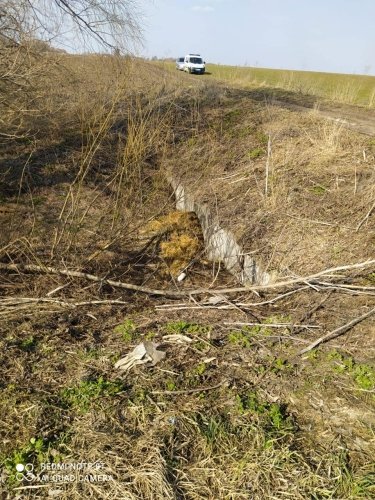 Фото 4 — Зарезали и выбросили в канаву: Под Киевом нашли тело активиста-ветерана АТО
