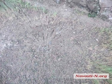 Фото 8 — В Николаеве в результате обстрела остановки транспорта погибли 3 и ранены 12 человек (ФОТО)