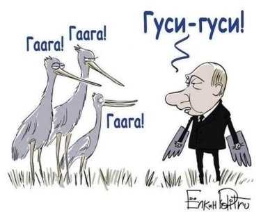 Фото 3 — Неизбежный трибунал: Как обойти вето России на расследование катастрофы рейса MH17