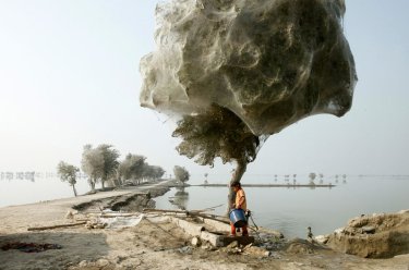 Фото 5 — Люди и звери на фото ежегодного конкурса National Geographic