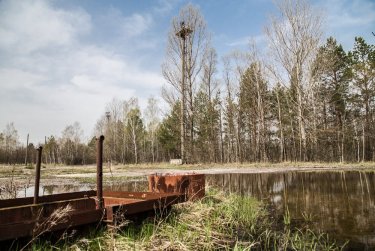 Фото 11 — Припять, Рыжий лес, Дуга-1: какие объекты Чернобыльской зоны готовят для ЮНЕСКО — фото