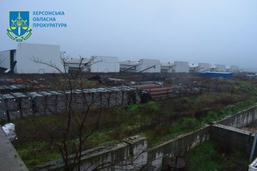 Фото 2 — В Чернобаевке обнаружили массовый мор птиц – следствие российской агрессии