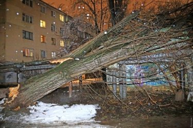 Фото 4 — На юге Украины из-за снега закрыли дороги, фуры не пускают даже в Киев (ФОТО, ВИДЕО)
