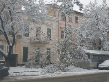 Фото 52 — На юге Украины из-за снега закрыли дороги, фуры не пускают даже в Киев (ФОТО, ВИДЕО)