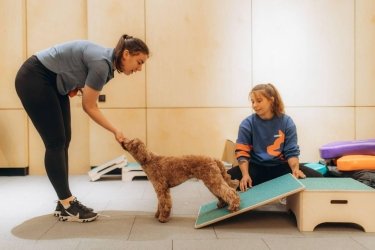 Фото 3 — Pawwer — арена для собак, що змінює культуру спорту в Україні