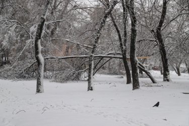 Фото 32 — На юге Украины из-за снега закрыли дороги, фуры не пускают даже в Киев (ФОТО, ВИДЕО)