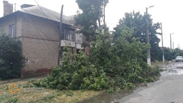 Фото 5 — Снес крыши, деревья и водонапорную башню: по Донецкой и Луганской областям прошел ураган