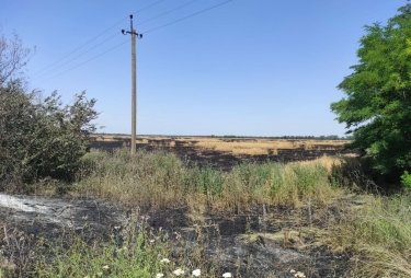 Фото 10 — Россия уничтожает урожай украинских фермеров, нанося удары FPV-дронами по полям