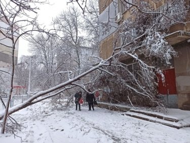Фото 53 — На юге Украины из-за снега закрыли дороги, фуры не пускают даже в Киев (ФОТО, ВИДЕО)