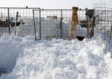 Фото 3 — Аномальные морозы в Европе продержатся до конца февраля — метеорологи