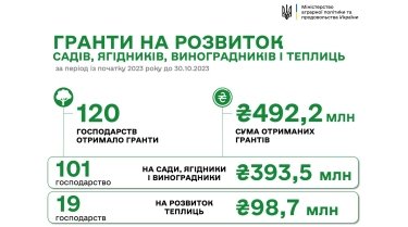 Фото 3 — Уряд на 2024 рік заклав 4,2 мільярди гривень для агросектора. Що про це думають учасники ринку