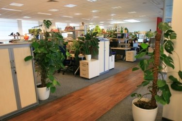 Фото 9 — Philips: сотрудники — сами строители своей карьеры