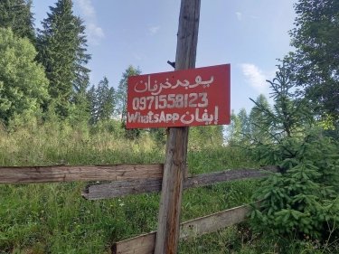 Фото 24 — За три месяца Украину посетили почти 30 тысяч туристов из Саудовской Аравии