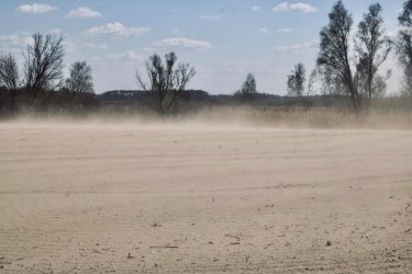 Фото 2 — Создателю "Дюны" 100 лет. Почему проблемы пустынного бестселлера сегодня близки Украине