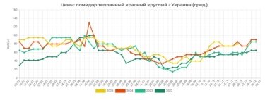 Фото 2 — В Украине дешевеют тепличные и импортные помидоры из-за низкого спроса