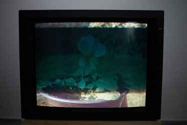 Фото 40 — $100 тыс. получит лучший художник от "Пинчук Арт-центра" — выставка номинантов
