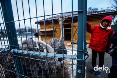 Фото 9 — Пять лет спустя. Как живет бывшая резиденция Януковича сегодня