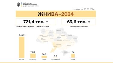 Фото 2 — Жнива 2024: в якій області найвища урожайність зернових