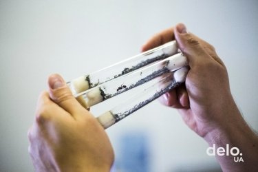 Фото 3 — Як ветеран АТО зумів побудувати бізнес на мурахах