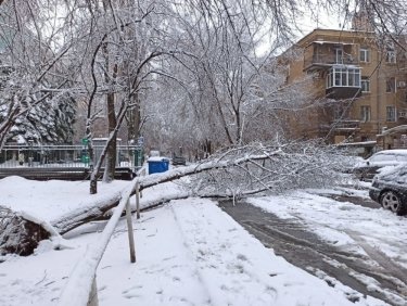 Фото 73 — На юге Украины из-за снега закрыли дороги, фуры не пускают даже в Киев (ФОТО, ВИДЕО)