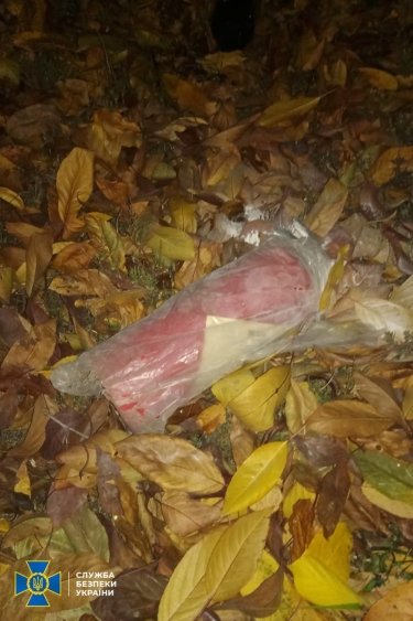 Фото 6 — В дом замглавы Офиса президента бросили "коктейль Молотова": мужчину поймали (ФОТО)