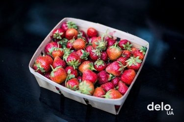 Фото 4 — Як ветеран АТО почав вирощувати ягоди