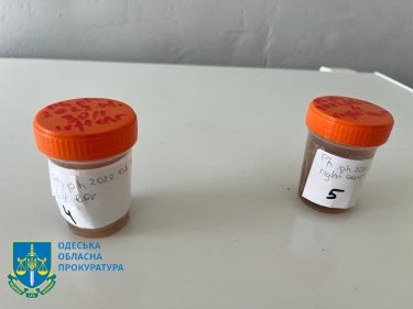 Фото 11 — В Одесской области взялись расследовать массовую гибель дельфинов в Черном море в результате вторжения РФ