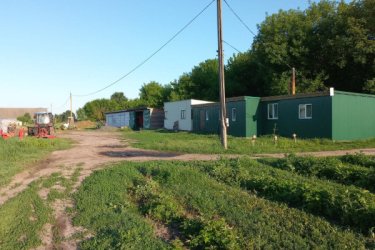 Фото 5 — Земля, техніка та контракти з мережами: на Київщині продають ягідно-овочевий бізнес за $275 тис.