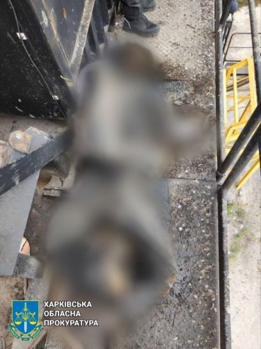 Фото 7 — В освобожденном селе на Харьковщине нашли тела замученных мирных жителей (ФОТО)